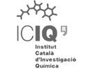 logo 13
