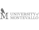 logo 20