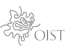 logo 20